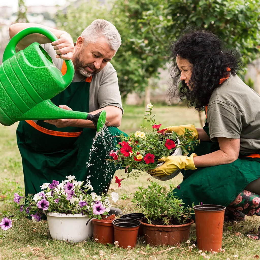 Two people in aprons tending to colorful potted flowers, watering and arranging plants for affordable landscaping near me project.