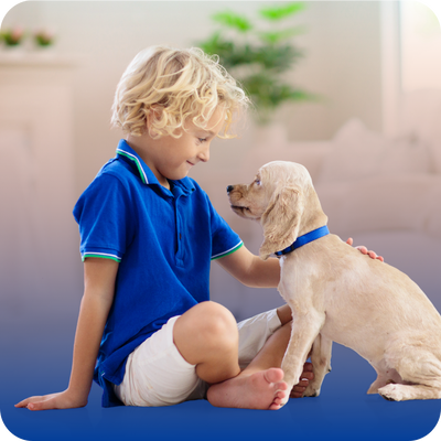 A young boy sitting on the floor, emphasizing the importance of keeping children and pets away from work areas.